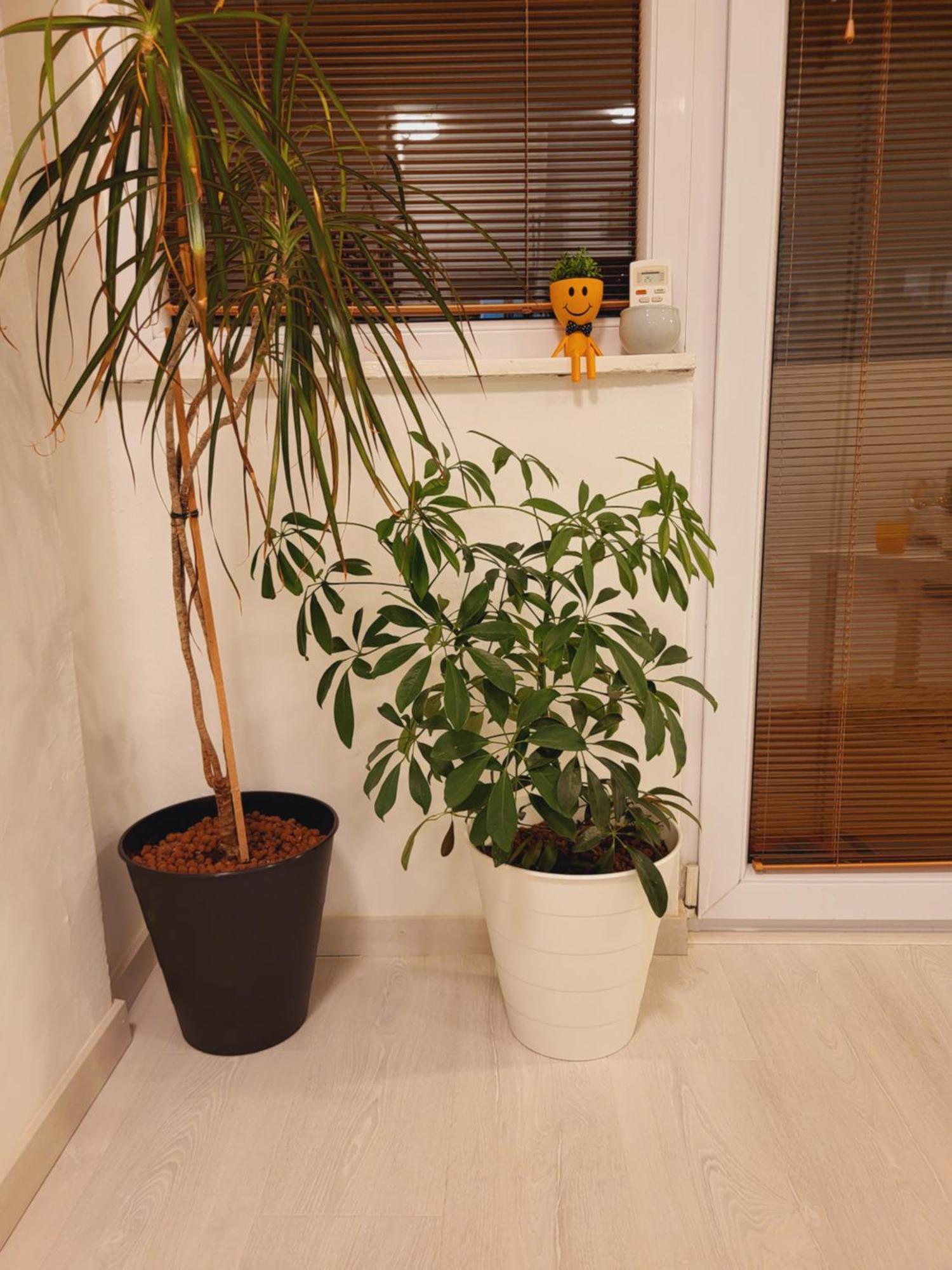 City Center White Apartment! Скопие Екстериор снимка